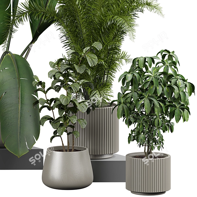 Fresh Life Indoor Plant 3D model image 2