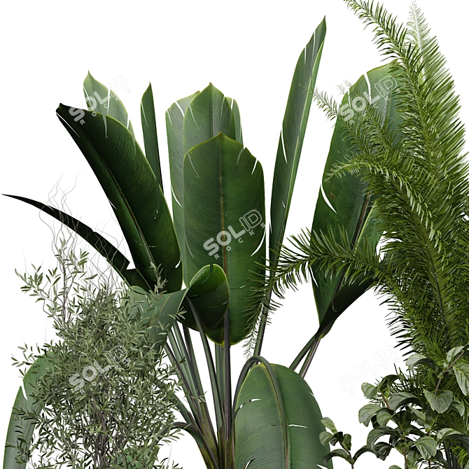 Fresh Life Indoor Plant 3D model image 3