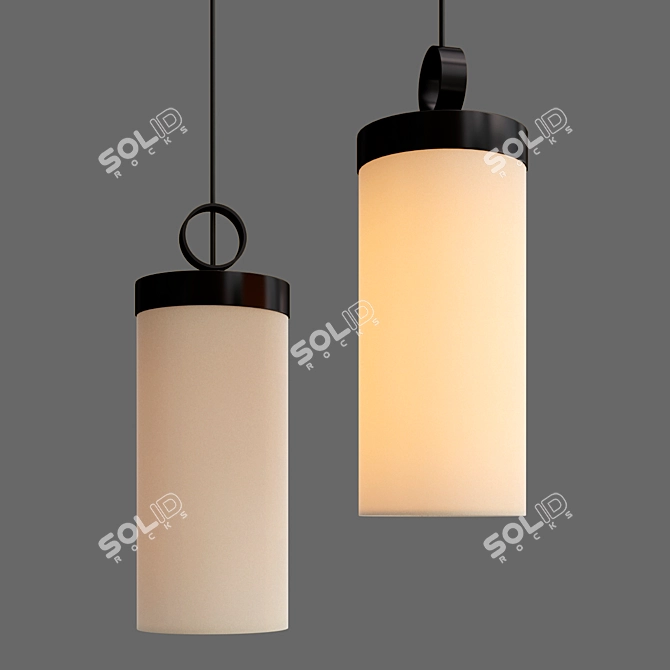 Modern NOOI Pendant Lamps 3D model image 3