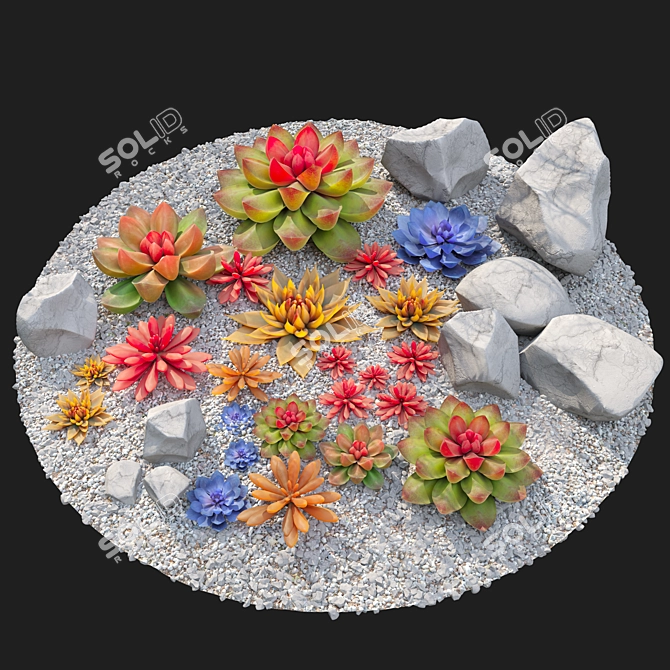 Six Succulent Plants Collection 3D model image 4