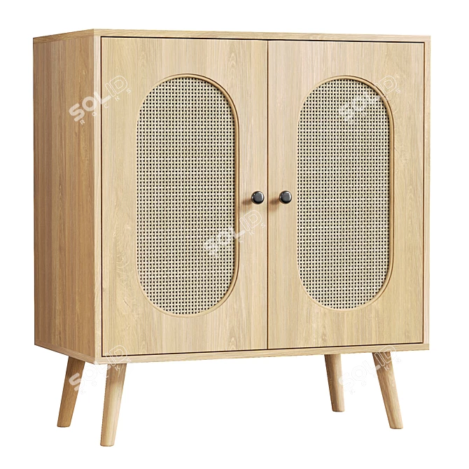 UV Unwrapped Tall Door Accent Cabinet 3D model image 1