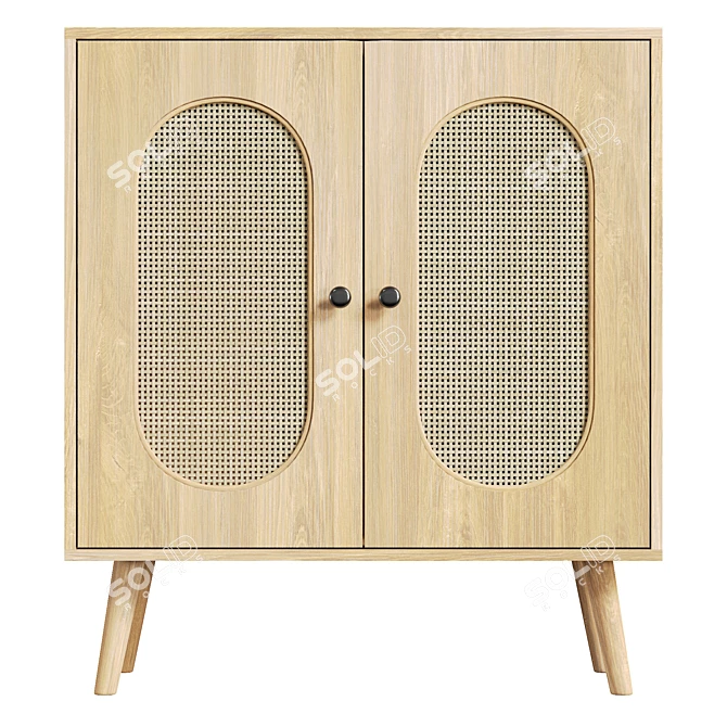 UV Unwrapped Tall Door Accent Cabinet 3D model image 2