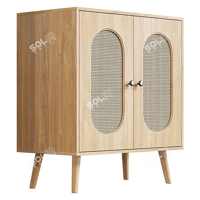 UV Unwrapped Tall Door Accent Cabinet 3D model image 4