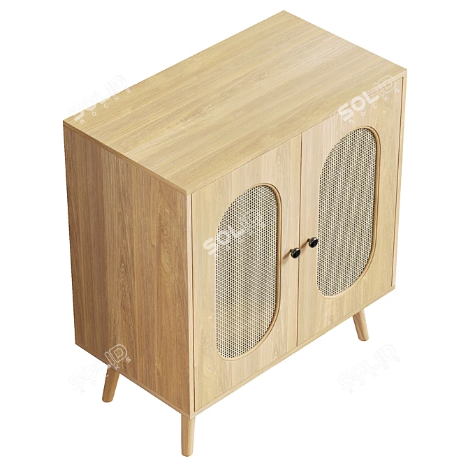 UV Unwrapped Tall Door Accent Cabinet 3D model image 5