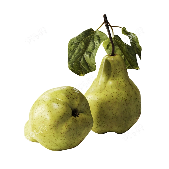 Premium Realistic Pears with Leaves 3D model image 4