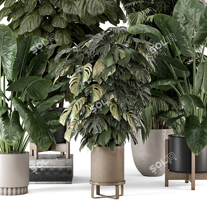 Modern Indoor Plants in Large Bau Pot 3D model image 2