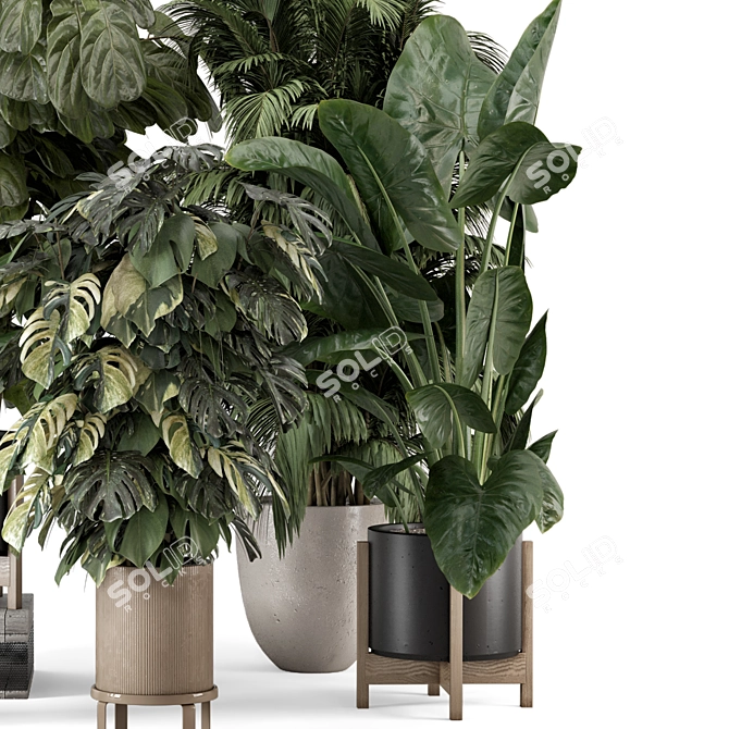 Modern Indoor Plants in Large Bau Pot 3D model image 3