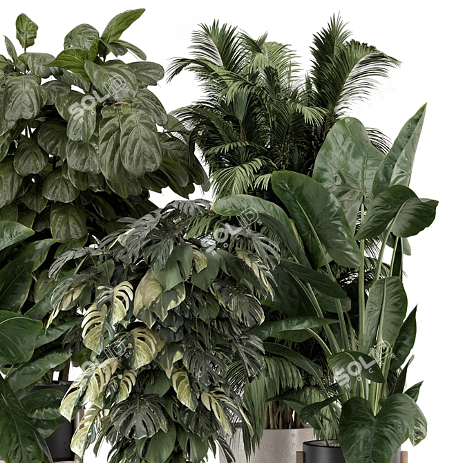 Modern Indoor Plants in Large Bau Pot 3D model image 5