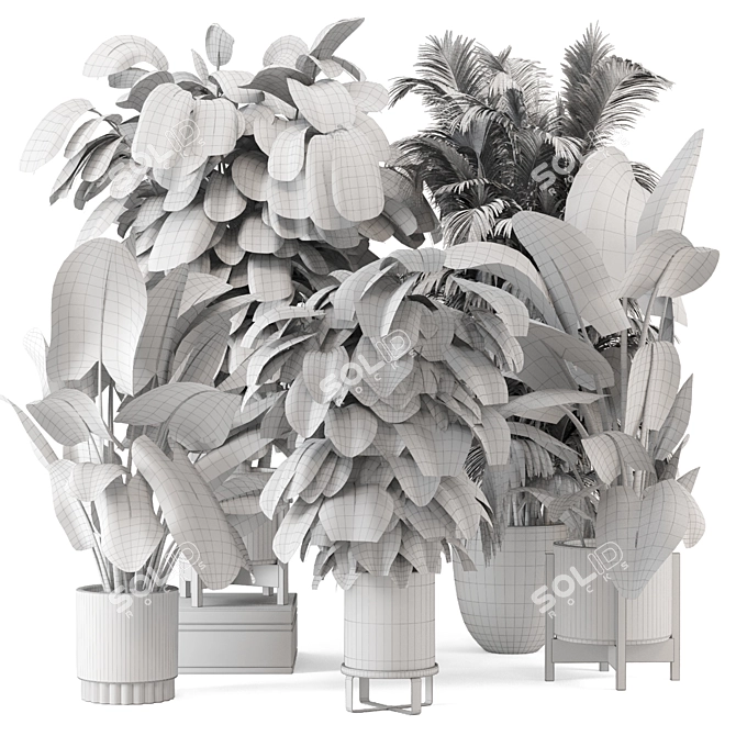 Modern Indoor Plants in Large Bau Pot 3D model image 7