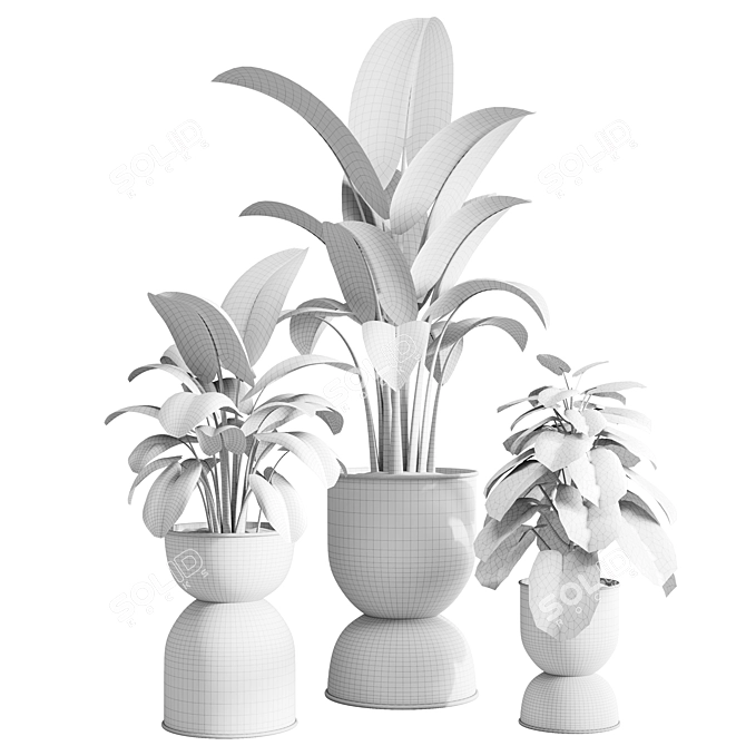 Vibrant Indoor Plants Collection 3D model image 5