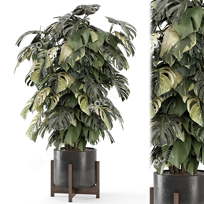 Wood & Stone Indoor Plants Set 3D model image 1