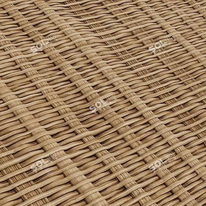 Wicker Ribbon Fiber Textures Bundle 3D model image 5