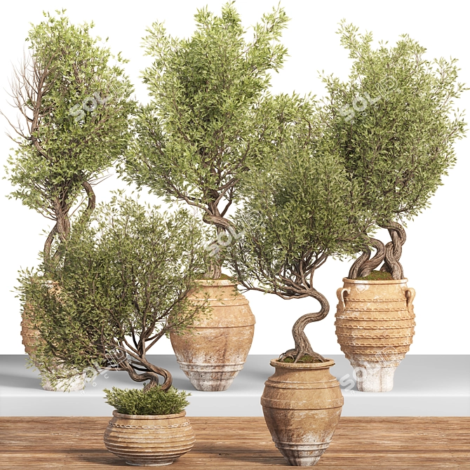 Modern Indoor Plant Set 3D 3D model image 1