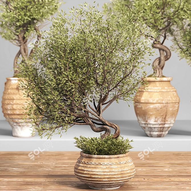 Modern Indoor Plant Set 3D 3D model image 3