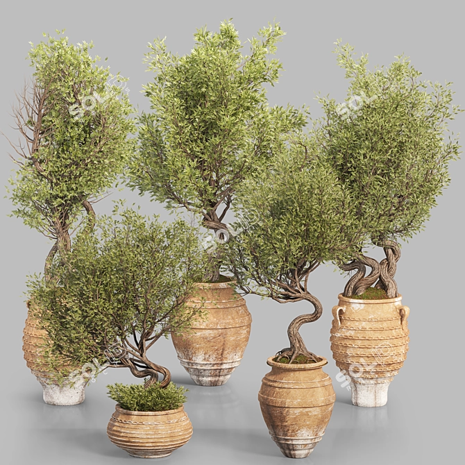 Modern Indoor Plant Set 3D 3D model image 8