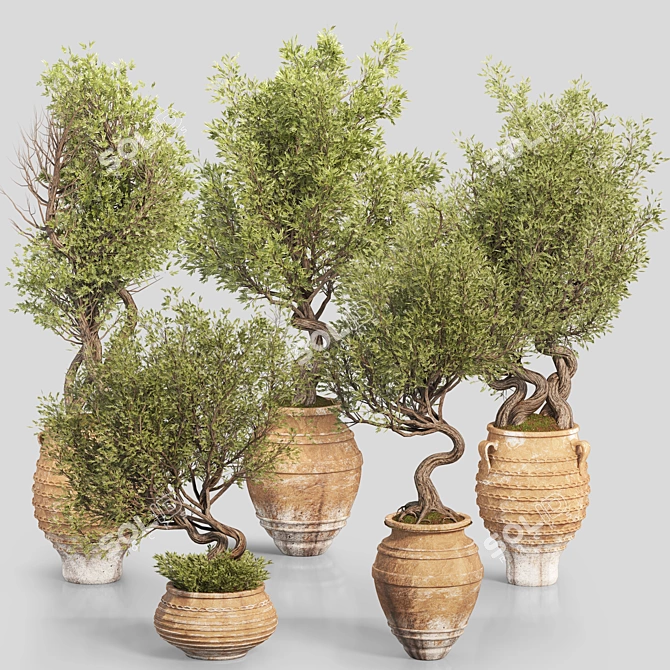 Modern Indoor Plant Set 3D 3D model image 9