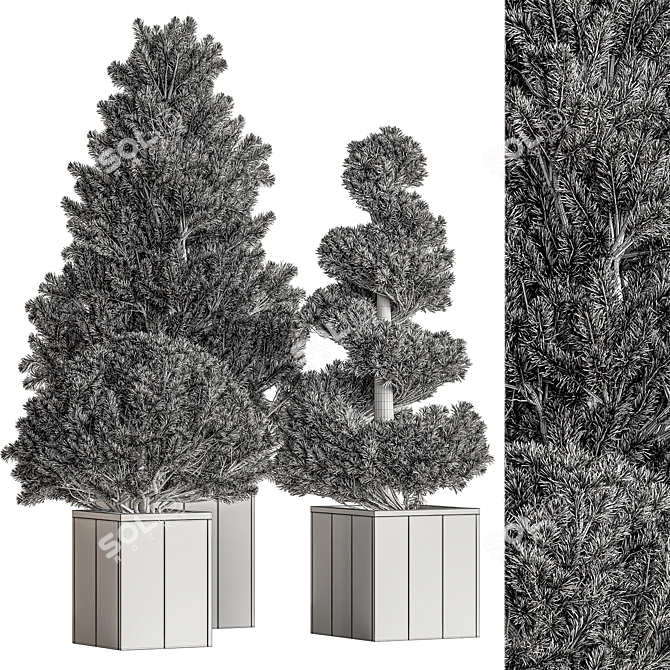 Plum Pines Outdoor Plant 3D model image 5