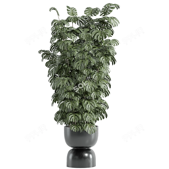 Modern Indoor Plant Set 71 3D model image 2