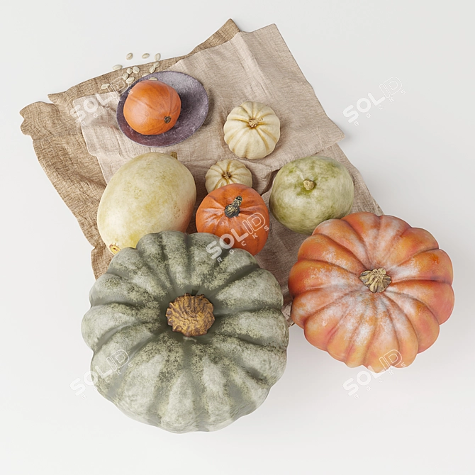 Autumn Glow Pumpkin Set 3D model image 3