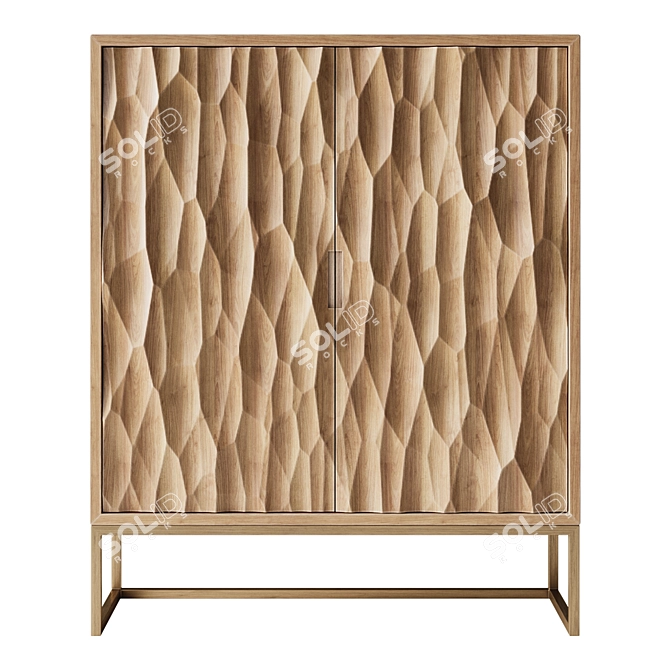 Textured Mango Wood Brass Cabinet 3D model image 2