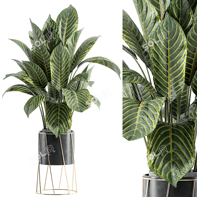 Custom Indoor Plant Set 3D 3D model image 1