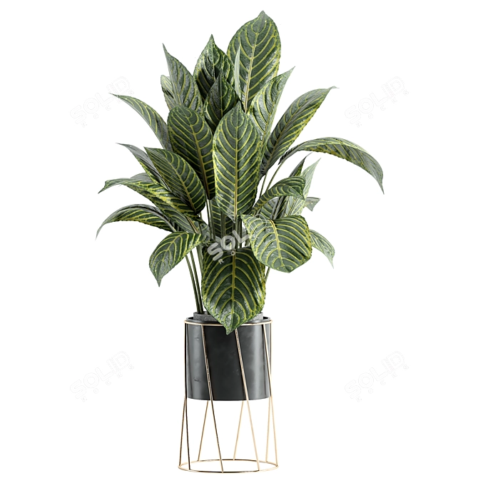 Custom Indoor Plant Set 3D 3D model image 2