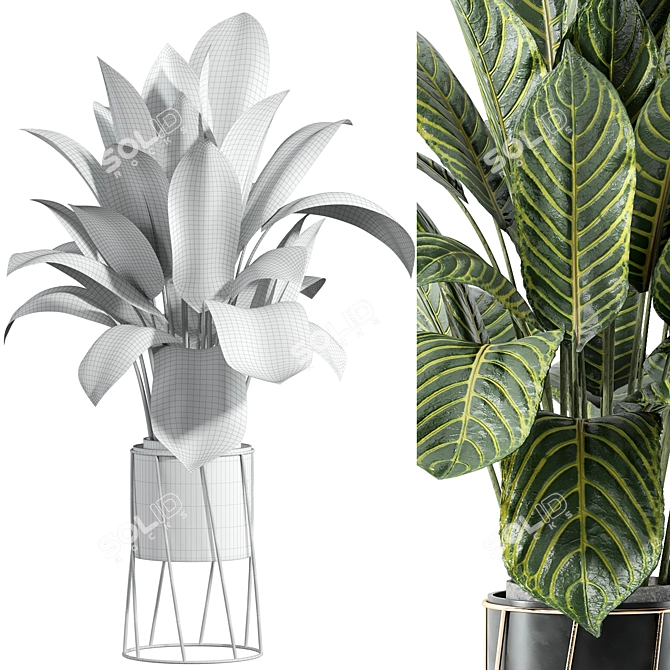 Custom Indoor Plant Set 3D 3D model image 3