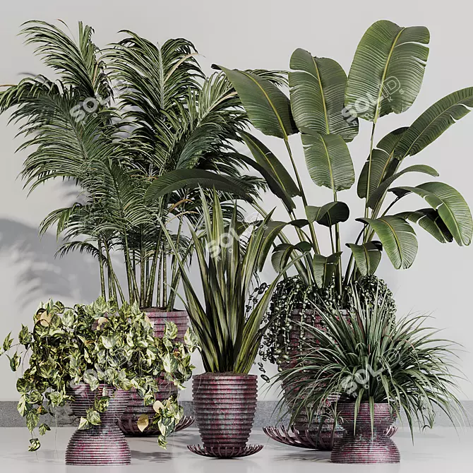 Indoor Variety Plant Set 3D model image 1