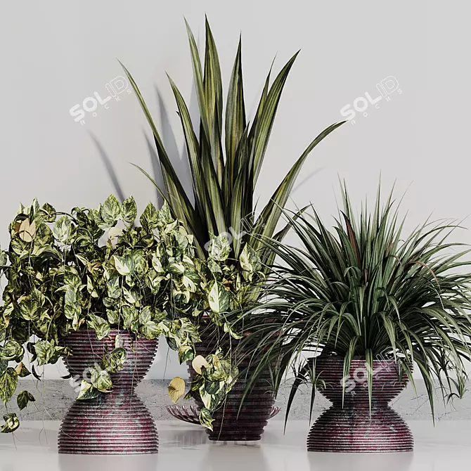 Indoor Variety Plant Set 3D model image 3