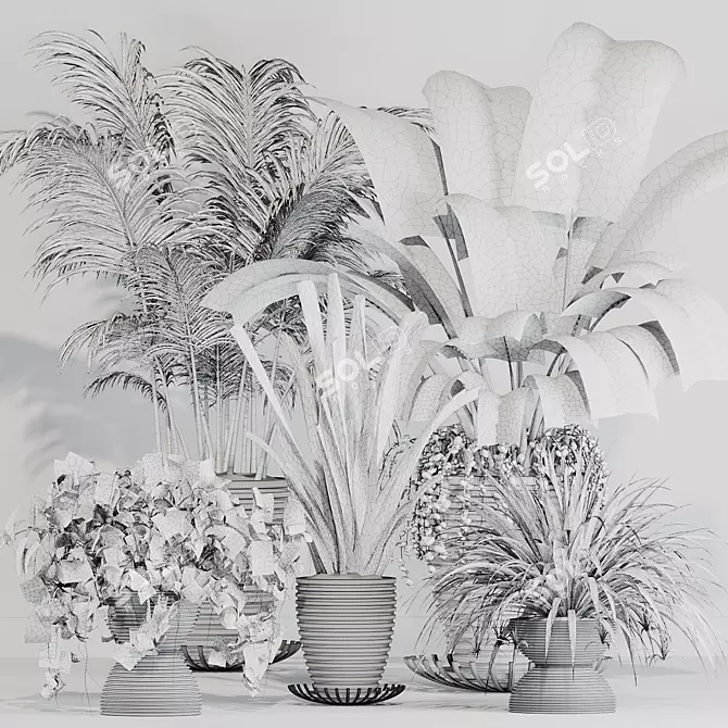 Indoor Variety Plant Set 3D model image 5