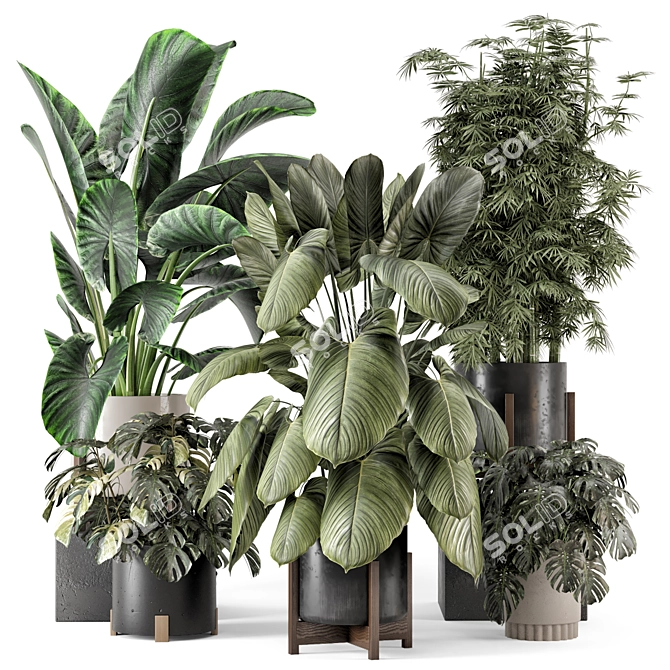 Woodstone Indoor Plant Set 3D model image 1