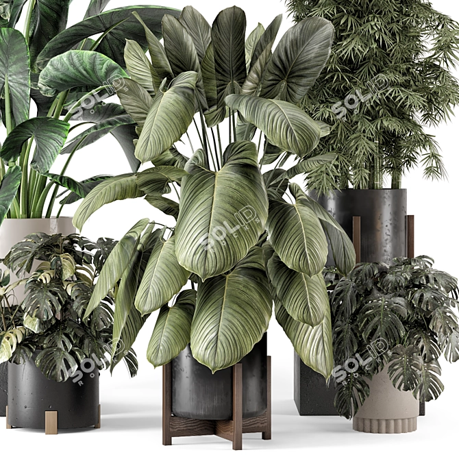 Woodstone Indoor Plant Set 3D model image 2