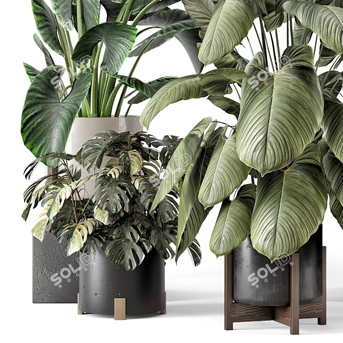 Woodstone Indoor Plant Set 3D model image 5