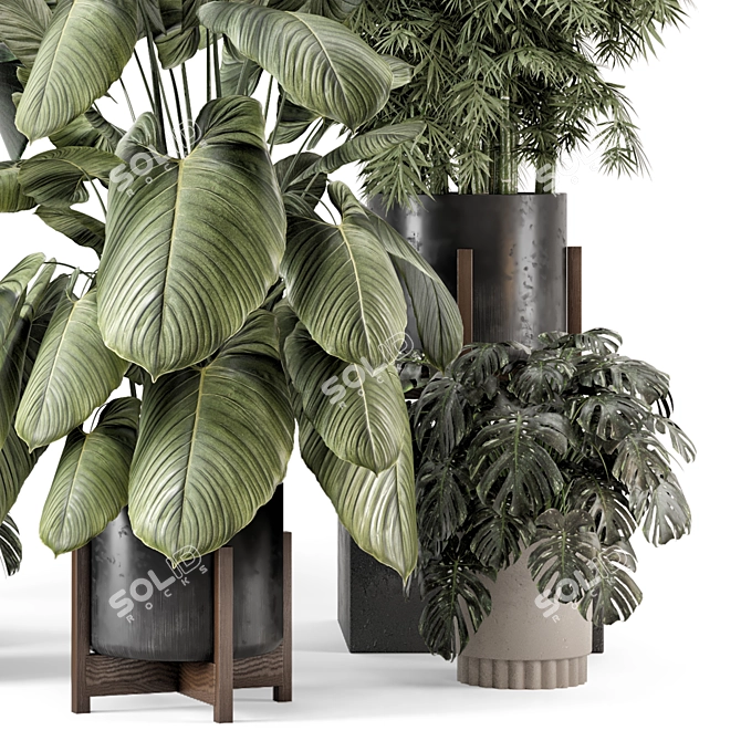 Woodstone Indoor Plant Set 3D model image 6