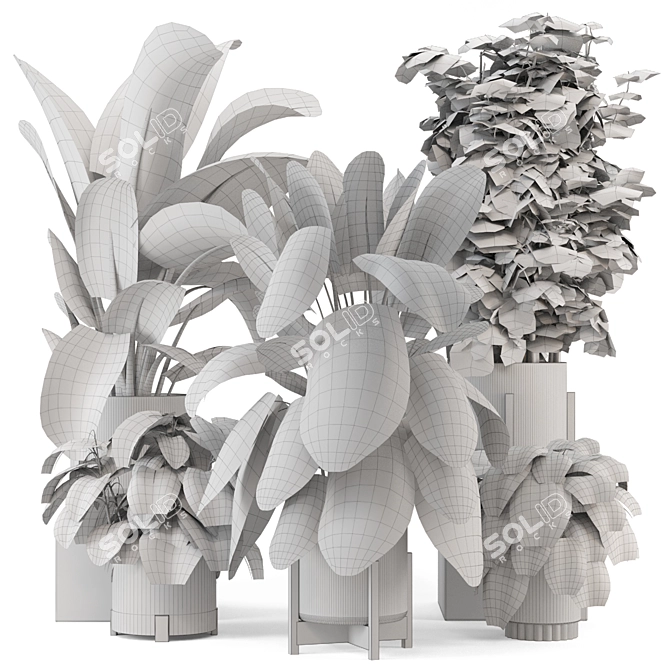 Woodstone Indoor Plant Set 3D model image 7