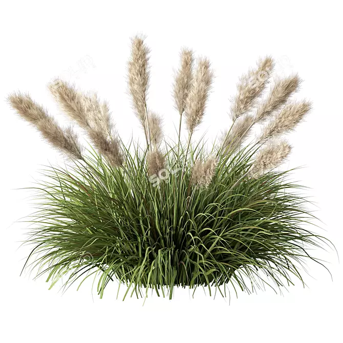 Wild Grassland Pampas No.12 3D model image 1