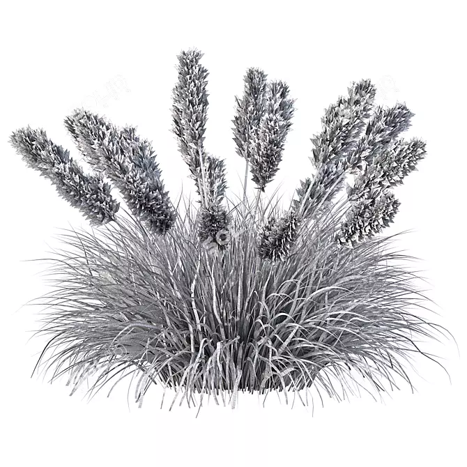 Wild Grassland Pampas No.12 3D model image 4