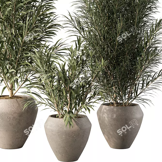 Modern Minimalist Indoor Plant Decor 3D model image 3