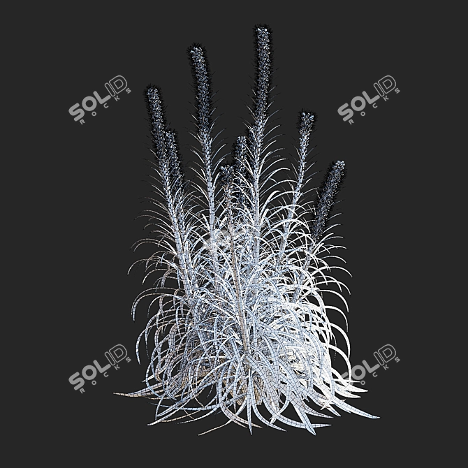 Liatris Spicata Flower Bundle 3D model image 5