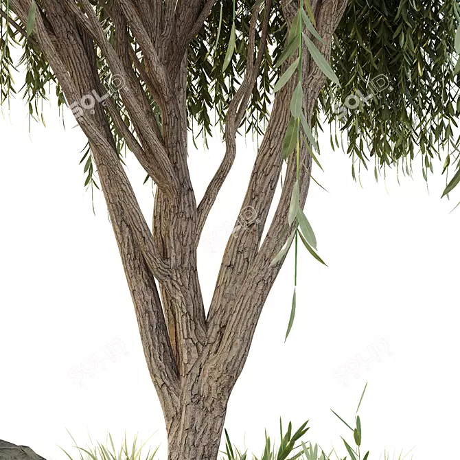 "Green Plant Bench Set 3D model image 2