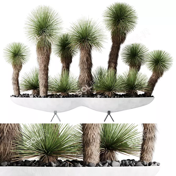 Hybrid Yucca Mexico Set01 Beauty 3D model image 1