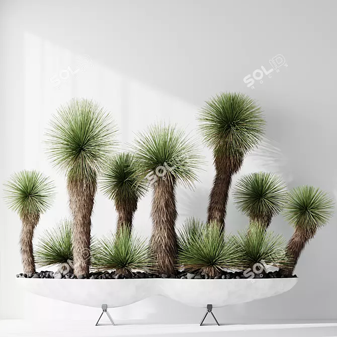 Hybrid Yucca Mexico Set01 Beauty 3D model image 2