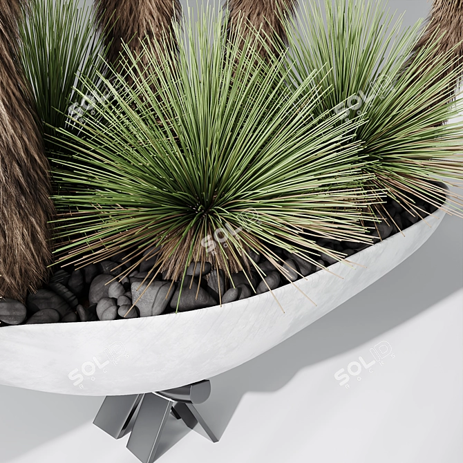 Hybrid Yucca Mexico Set01 Beauty 3D model image 5