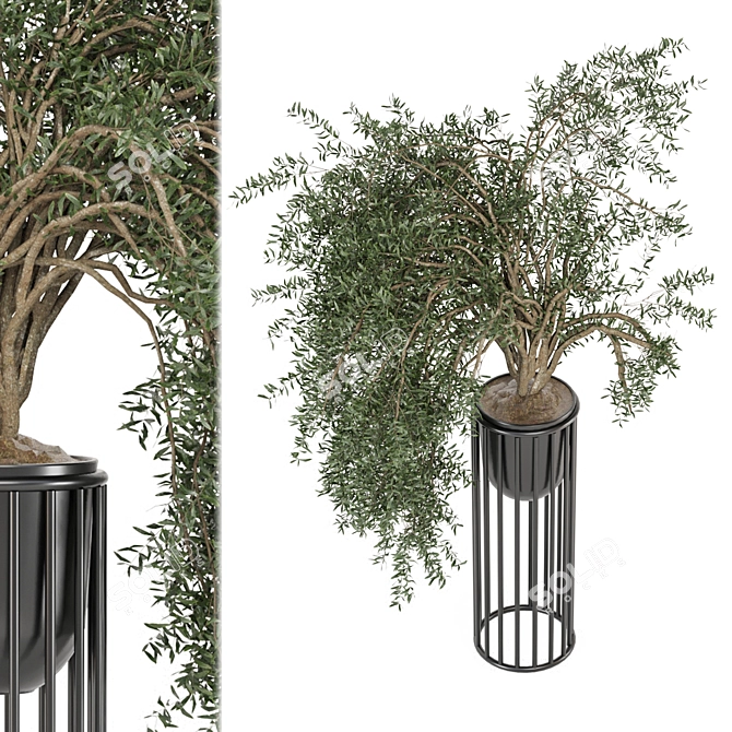 Modern Indoor Plants Set 1082 3D model image 2