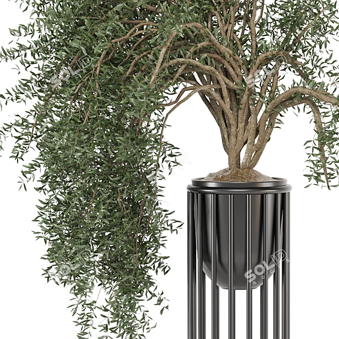 Modern Indoor Plants Set 1082 3D model image 3