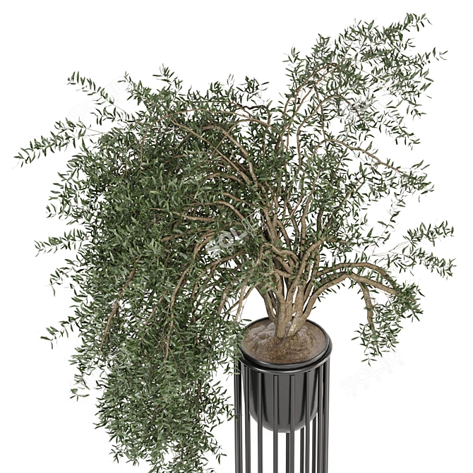 Modern Indoor Plants Set 1082 3D model image 4