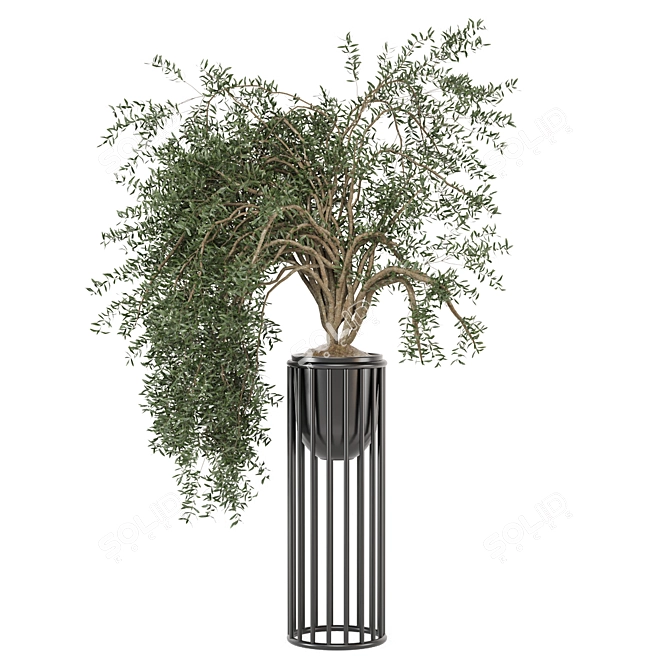 Modern Indoor Plants Set 1082 3D model image 5