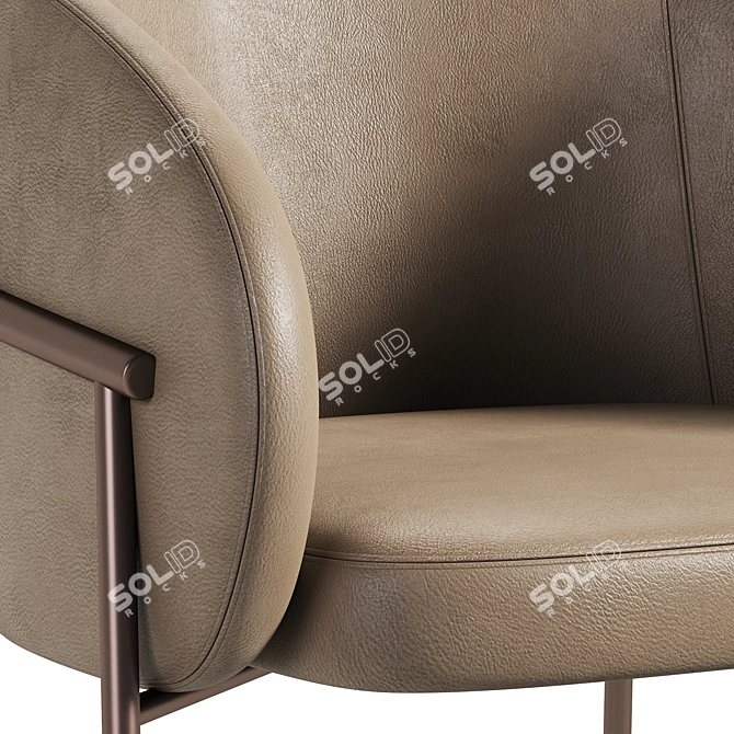 Rimo Leather Chair by Parla 3D model image 3