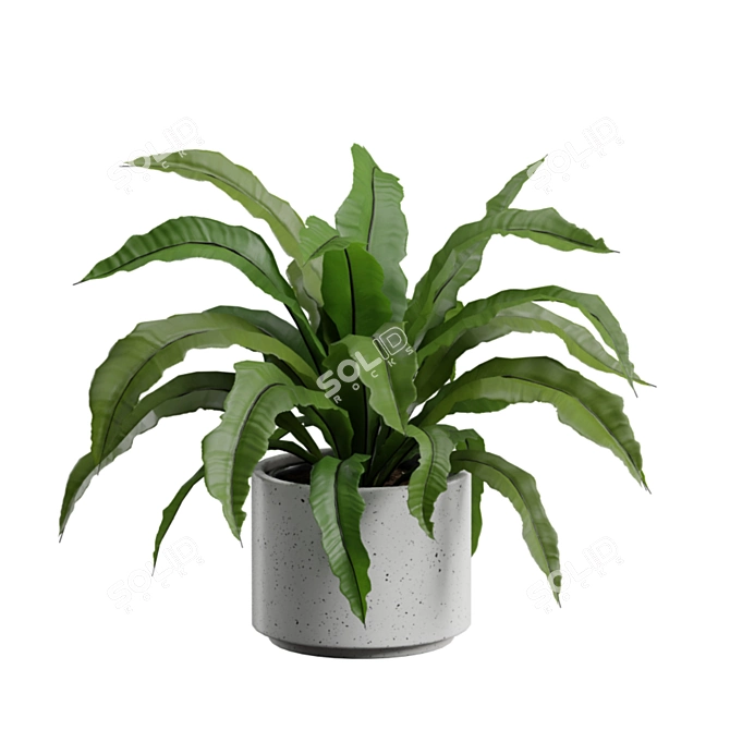 Exotic Indoor Plants Collection 4K 3D model image 7