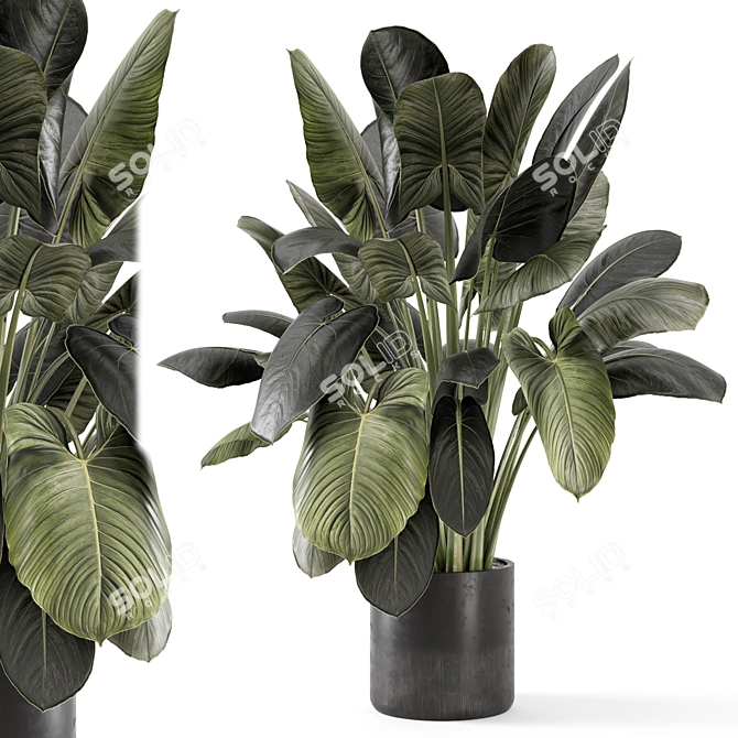  Handmade Stone Pot Indoor Plants 3D model image 1